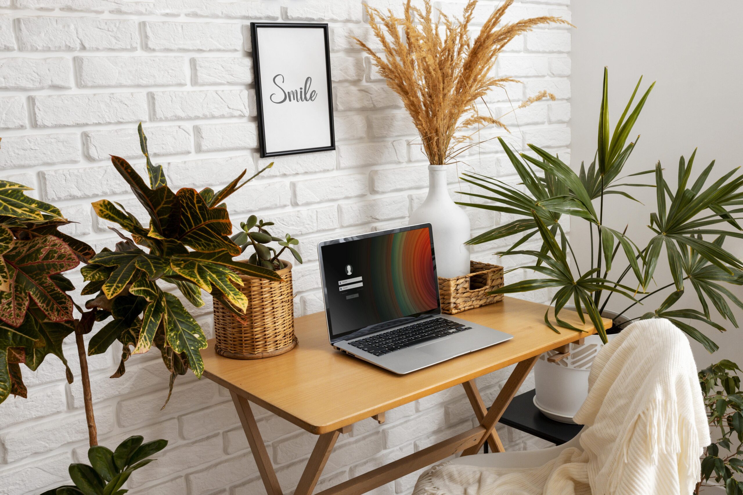 desktop setup with plants around
