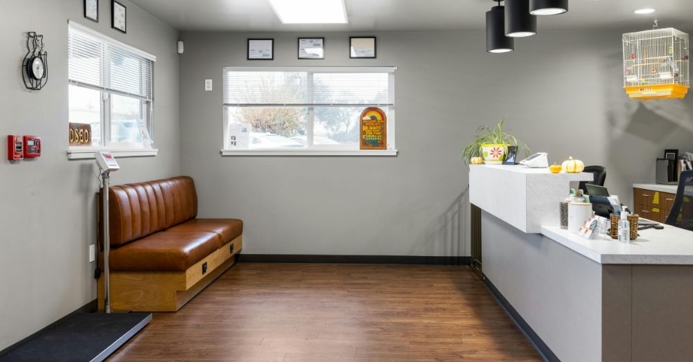 A small, clean vet clinic waiting area with a brown leather booth on the left, facing a large window.