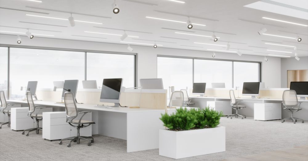 Bright, white, open-plan office; modern feng shui office.