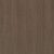 Pecan